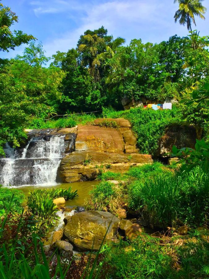 Jungle Tide Bed & Breakfast Kandy Exterior photo